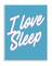 Stupell Industries I Love Sleep Typography Wall Plaque